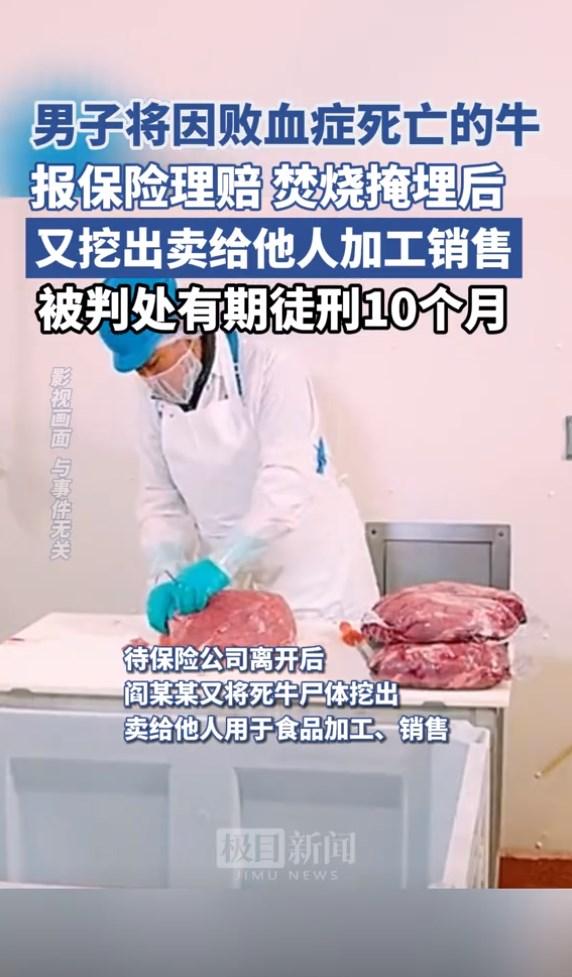 男子获理赔后又将病死牛挖出来卖